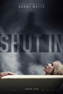shut-in-poster